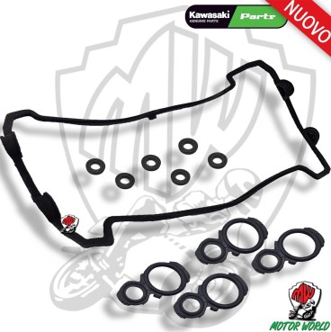 KIT GUARNIZIONI CANDELE + VITI + PUNTERIE KAWASAKI Z 800 2013 2014 2015 2016