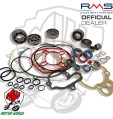 KIT REVISIONE MOTORE COMPLETO AM6 Cuscinetti SKF + 7 Paraoli + Guarnizioni