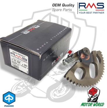 MESSA IN MOTO AVVIAMENTO RMS GILERA TYPHOON XR 50 2000