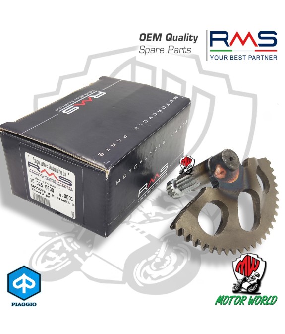 MESSA IN MOTO AVVIAMENTO RMS GILERA TYPHOON XR 50 2000