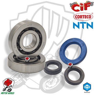 CUSCINETTI NTN + PARAOLI DI BANCO CORTECO PIAGGIO 50 2 TEMPI