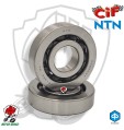 CUSCINETTI DI BANCO NTN PIAGGIO 50 2 TEMPI
