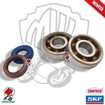 KIT Cuscinetti Di Banco SKF + Paraoli CORTECO VENT DERAPAGE RR 50 2T LC