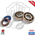 KIT Cuscinetti Di Banco SKF + Paraoli CORTECO VENT DERAPAGE RR 50 2T LC