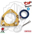 Guarnizione PARAOLIO mozzo posteriore Vespa 50 L N R 125 primavera et3 PK XL FL