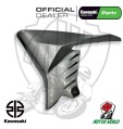 CONVOGLIATORE CARENA DESTRO DESTRA GRIGIO 45W ORIGINALE KAWASAKI Z 900 2020 2021