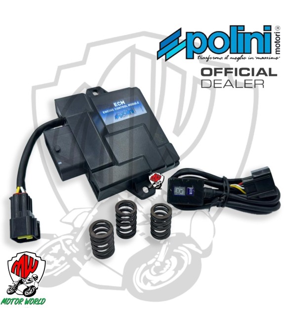 CENTRALINA ECM POLINI PIAGGIO Liberty 50 4T iGET 3V ie Euro 5 dal 2021 2022