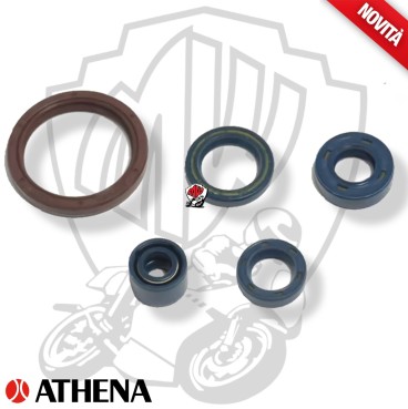 SERIE PARAOLI MOTORE ATHENA HUSQVARNA TXC Husqvarna Engine 250 2009