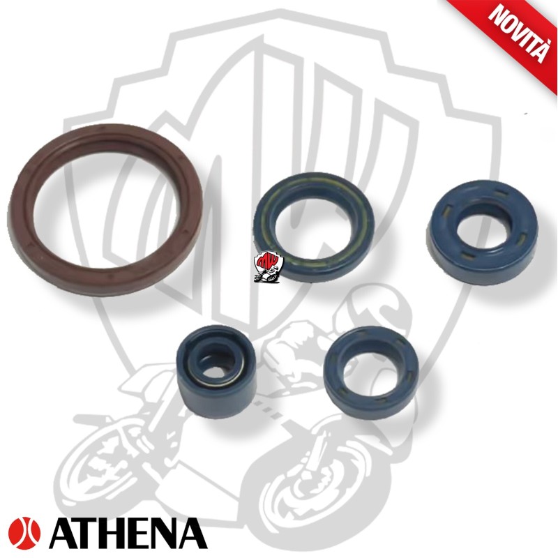 SERIE PARAOLI MOTORE ATHENA HUSQVARNA TXC Husqvarna Engine 250 2009