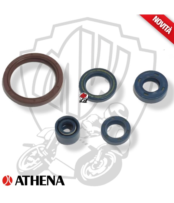 SERIE PARAOLI MOTORE ATHENA HUSQVARNA TXC Husqvarna Engine 250 2009