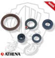 SERIE PARAOLI MOTORE ATHENA HUSQVARNA TXC Husqvarna Engine 250 2009