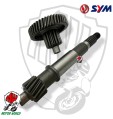 INGRANAGGI PRIMARI RUOTA ORIGINALE SYM JOYRIDE 200 2003 2004 2005 2006