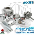 MAXI KIT POLINI D.52 PER AM6 94CC CORSA 44 CILINDRO + ALBERO SPALLE PIENE