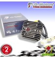 2 CENTRALINE CDI MS8CI558 E 1 REGOLATORE DI TENSIONE HONDA AFRICA