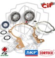 KIT REVISIONE ALBERO MOTORE OEM QUALITY PER CICLOMOTORI PIAGGIO SI’ CIAO BRAVO