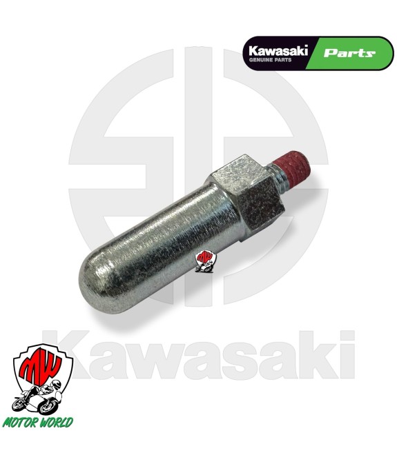 VITE PERNO ANTI STRISCIAMENTO ORIGINALE KAWASAKI NINJA ZX-10R 2004 - 2007