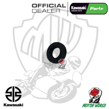 PARAOLIO POMPA ACQUA ORIGINALE KAWASAKI VN VULCAN 900 2019 2020
