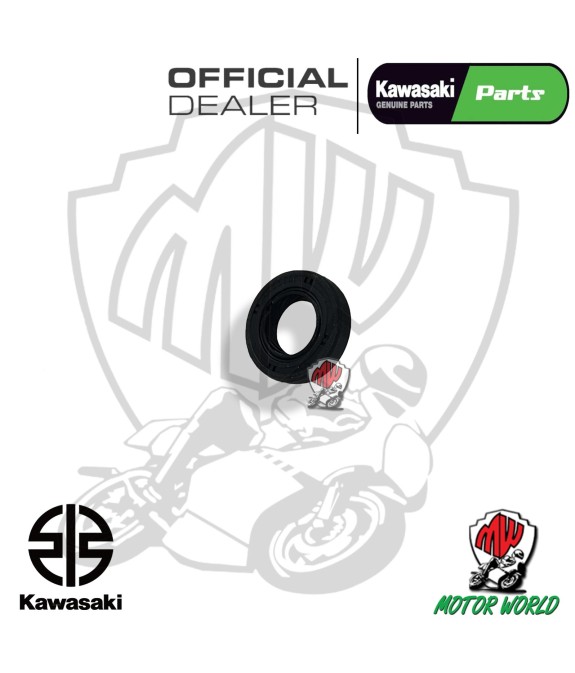 PARAOLIO POMPA ACQUA ORIGINALE KAWASAKI VN VULCAN 900 2019 2020