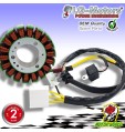 GUARNIZIONE E STATORE MAGNETE YAMAHA T-MAX TMAX 500 2001 2002 2003 CARBURATORE