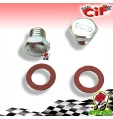 KIT REVISIONE MOTORE PIAGGIO VESPA 50 ET3 CUSCINETTI PARAOLI GUARNIZIONI OLIO