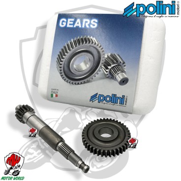 202.1407 RAPPORTI PRIMARI POLINI ALLUNGATI Z.14/39 Ø 17,67 SCOOTER ZIP DIESIS