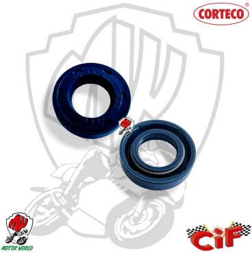 PARAOLIO 10X18X4 POMPA ACQUA MINARELLI SCOOTER 50 CC AEROX