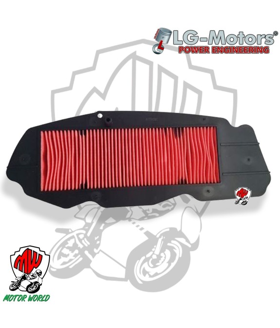 Filtro Aria LG-MOTORS