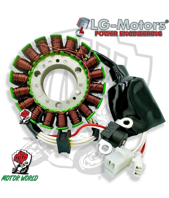 STATORE COMPLETO OEM QUALITY MALAGUTI Password / Password E3 250 2007-2009