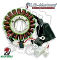 STATORE COMPLETO OEM QUALITY MALAGUTI Password / Password E3 250 2007-2009