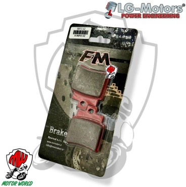 PASTIGLIE FRENO ORGANICHE POSTERIORI ARCTIC CAT ATV 300 DVX 2009 2010