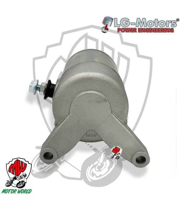 Motorino Avviamento Tipo ORIGINALE SUZUKI LT-F 250 Ozark 2006 2007 2008 2009