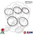 KIT FASCE SERIE SEGMENTI SYM PER CINDERELLA 50 1999 2000 2001 2002