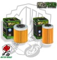 KIT 2 FILTRI FILTRO OLIO HIFLO HF651 + HF655 KTM 690 Rally Factory Replica 2008