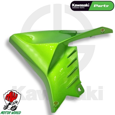 CONVOGLIATORE CARENA ANTERIORE DESTRA COLORE VERDE ORIGINALE KAWASAKI Z 900 2022