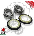 KIT CUSCINETTI DI STERZO + PARAPOLVERE ALL BALLS