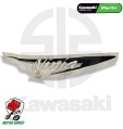 ADESIVO KAWASAKI NINJA ZX CARENA DX 56067-1464