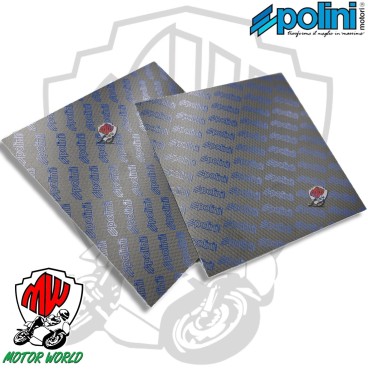 Set Lastre Lamelle In Fibra Di Carbonio Polini 0,30