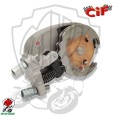 PRESELETTORE CAMBIO CIF PIAGGIO VESPA PX ARCOBALENO