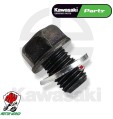TAPPO PERNO VITE SCARICO OLIO + RONDELLA ORIGINALE KAWASAKI Z 750 800 900 1000
