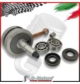 KIT ALBERO MOTORE CUSCINETTI PARAOLI E GABBIA RULLI PER MINI CROSS 50 cc