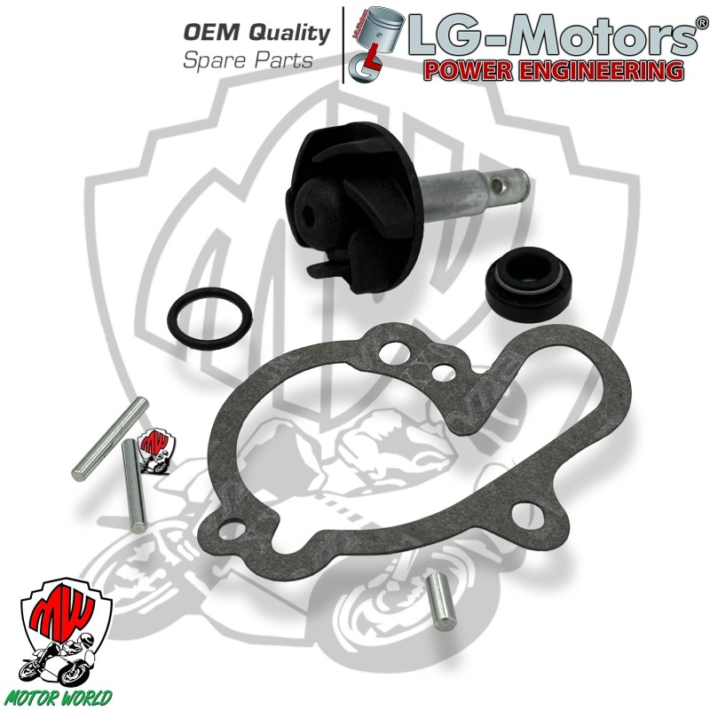 KIT REVISIONE POMPA ACQUA MOTORI MINARELLI AM6