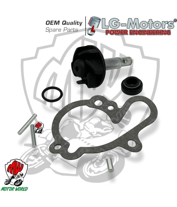 KIT REVISIONE POMPA ACQUA MOTORI MINARELLI AM6