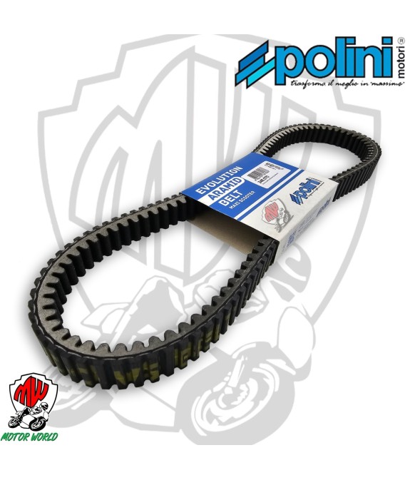 248.070 CINGHIA  POLINI VARIATORE FORZA 300 4T LC 2018 SH 300 2007 2015