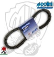 CINGHIA POLINI VARIATORE BEVERLY 250 300 SCARABEO 250 300 CARNABY 250  248.066