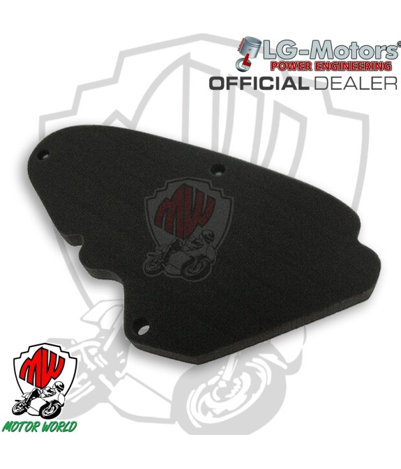 FILTRO ARIA MOTORE IN SPUGNA PIAGGIO LIBERTY FLY 3V IE 125
