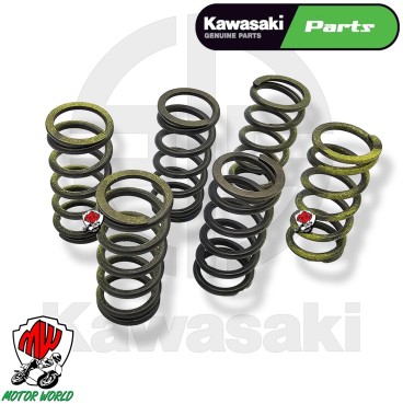 KIT 6 MOLLE FRIZIONE ORIGINALI KAWASAKI NINJA ZX-10R 1000 2024