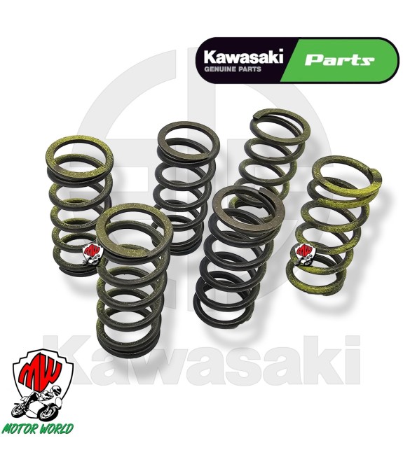 KIT 6 MOLLE FRIZIONE ORIGINALI KAWASAKI NINJA ZX-10R 1000 2024