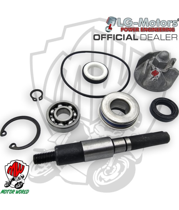 KIT REVISIONE POMPA ACQUA COMPATIBILE SH 125-150 DAL 2001 AL 2008