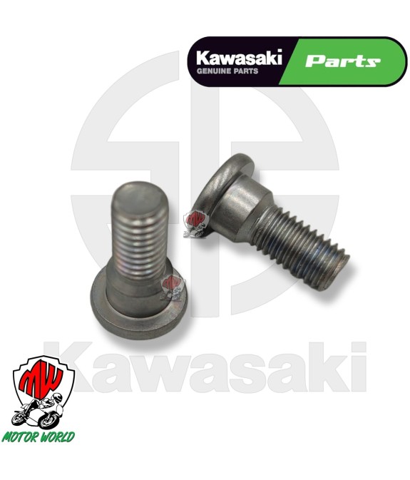 COPPIA VITI SUPPORTO PEDANA 8X20 PER KAWASAKI KX NINJA 1000 SX NINJA ZX GTR 1400