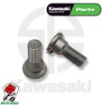 COPPIA VITI SUPPORTO PEDANA 8X20 PER KAWASAKI KX NINJA 1000 SX NINJA ZX GTR 1400